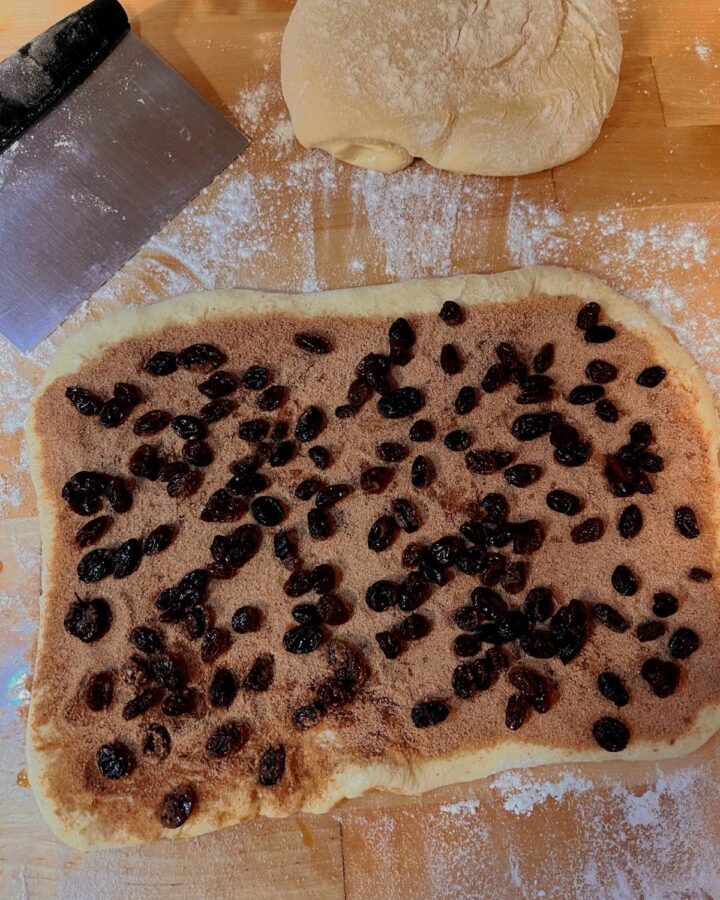 A rectangle of dough covered in cinnamon sugar and raisins.