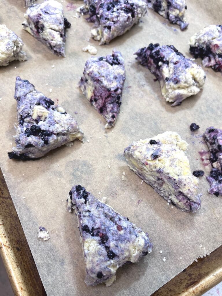 Scones, purple from blackberries, on a parchment lined baking sheet.