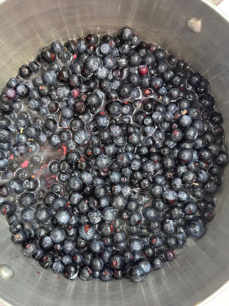 A pot of blueberries and water.