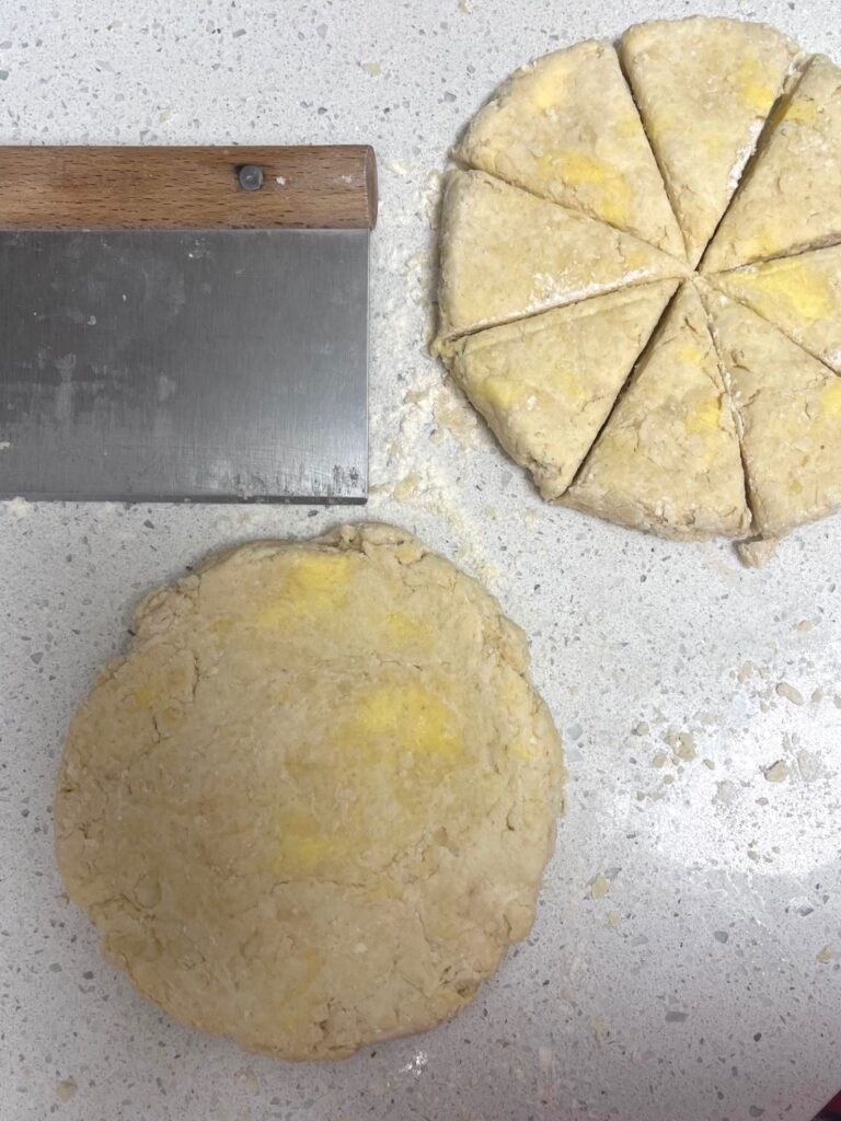 Two disks of sourdough scone dough, one divided into 8 equal pieces.