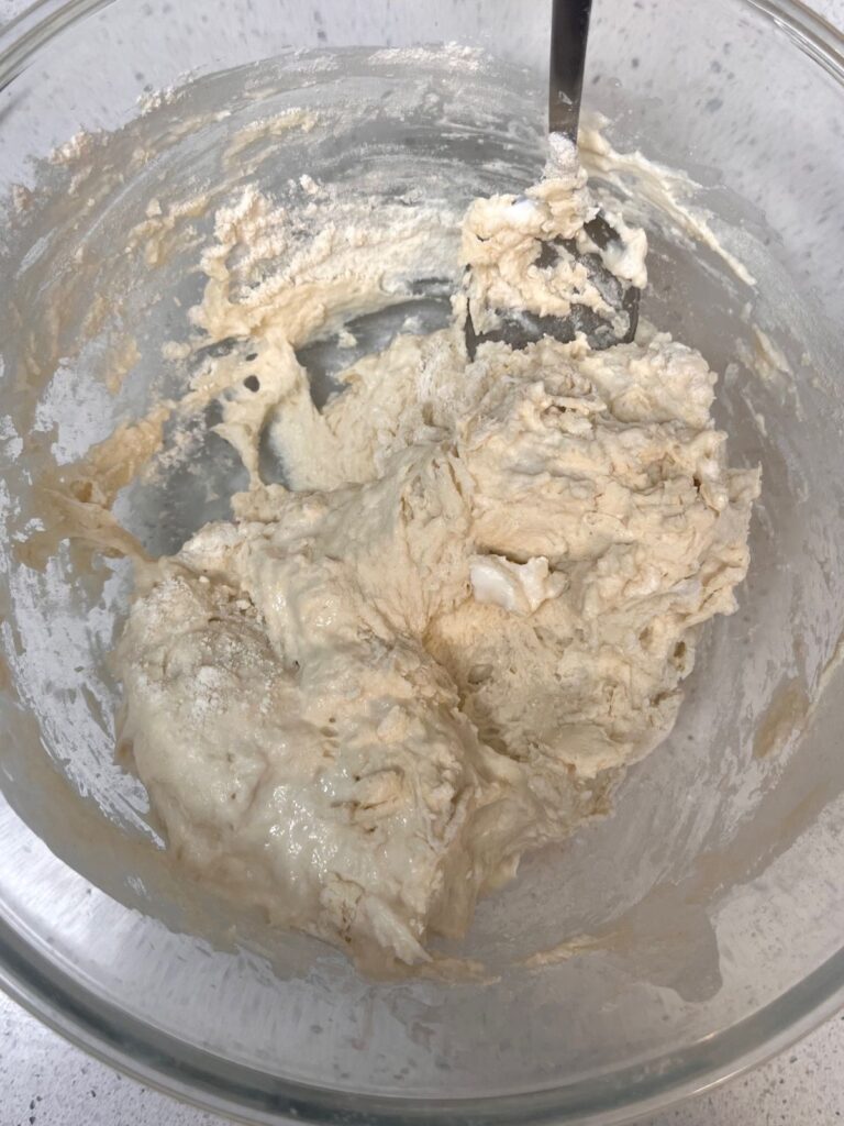 Naan bread dough in a bowl.